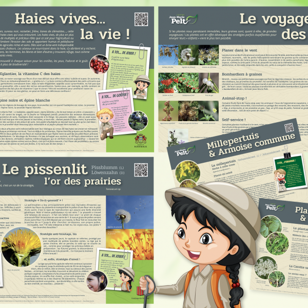 Conserver et promouvoir l'œuvre de Jean-Marie PELT