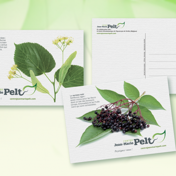 Conserver et promouvoir l'œuvre de Jean-Marie PELT