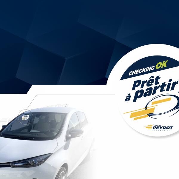 "JE NE VAIS PAS AU BOULOT, JE VAIS CHEZ PEYROT."