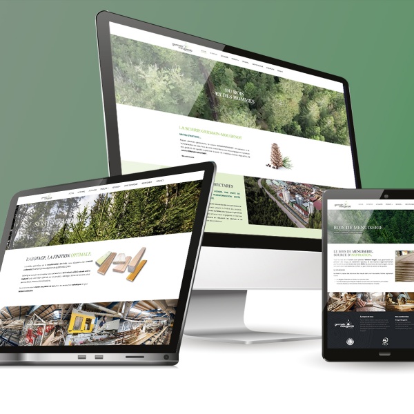 SCIERIE GERMAIN-MOUGENOT