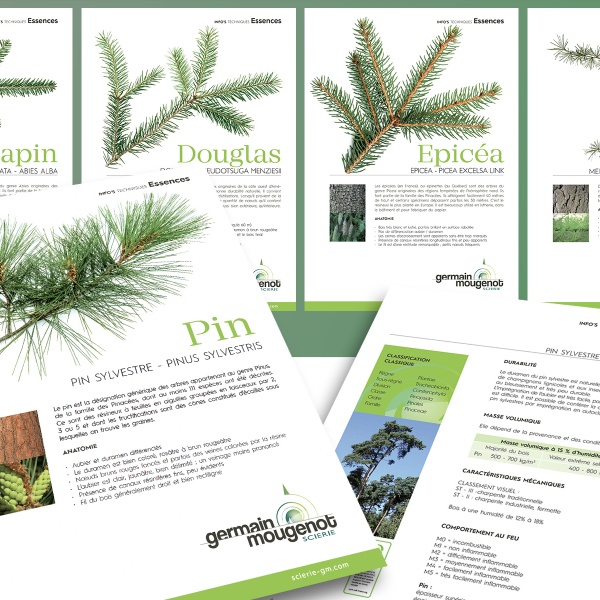 SCIERIE GERMAIN-MOUGENOT