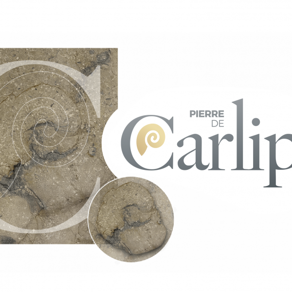 PIERRE DE CARLIPA