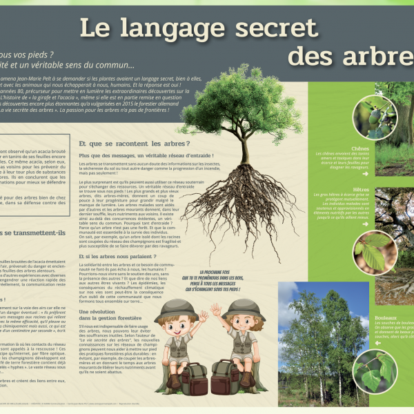 Conserver et promouvoir l'œuvre de Jean-Marie PELT