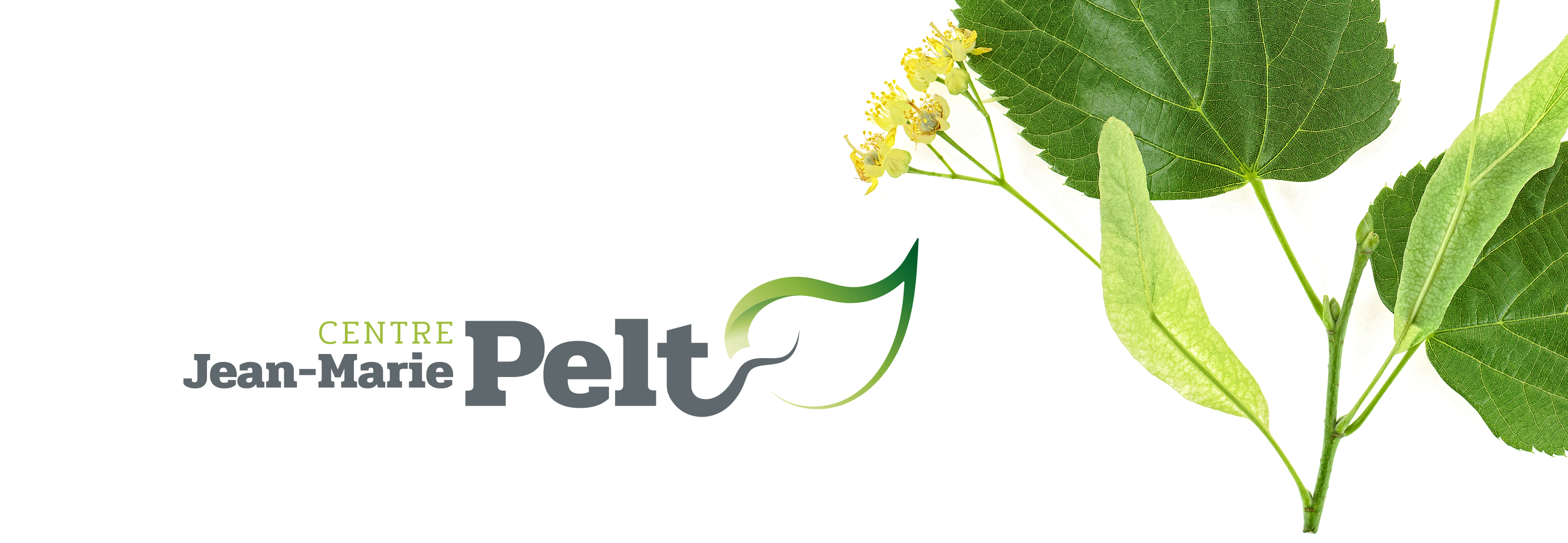 Conserver et promouvoir l'œuvre de Jean-Marie PELT