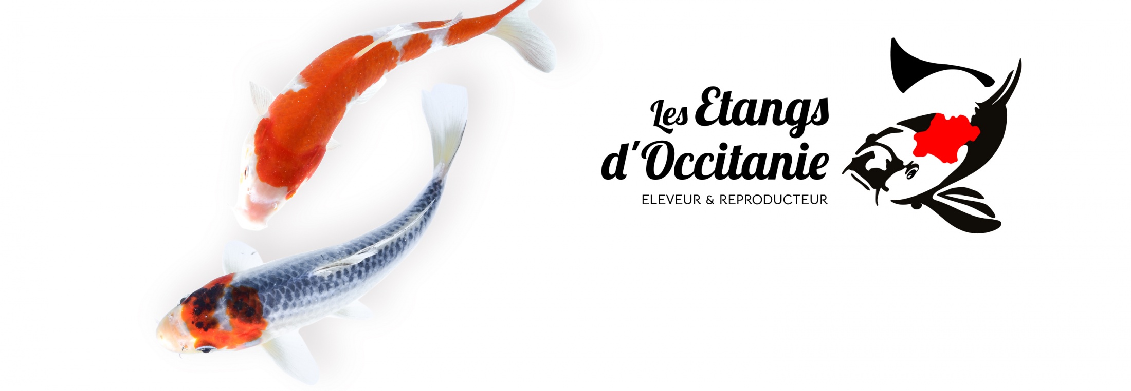 Eleveurs et... reproducteurs !