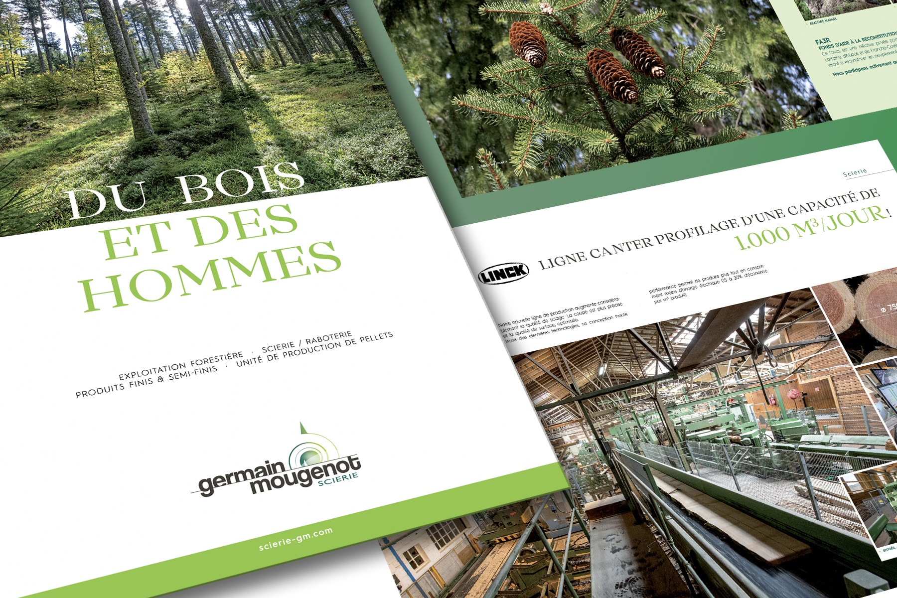 SCIERIE GERMAIN-MOUGENOT